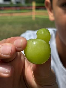 Double grape (really rare!)