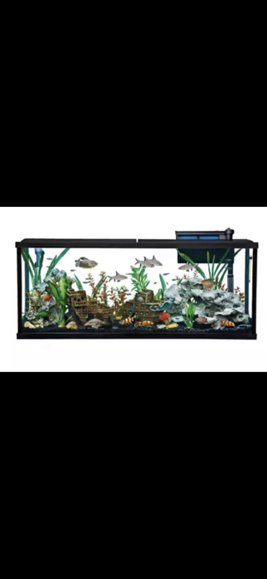 Brand New 55 Gallon Aquarium