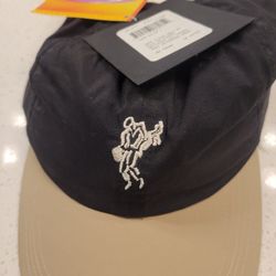 Brand New ashworth golf hat