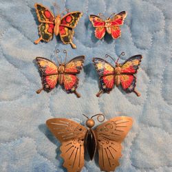 Collection Of Butterflies 