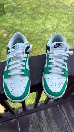Nike dunks- Women’s