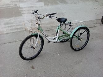 Adult Tricycle