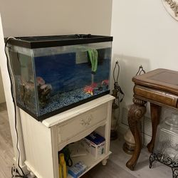 Beautiful Fresh Water Aquarium 20 Gallons