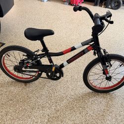 Guardian 16” Bike With Training Wheels