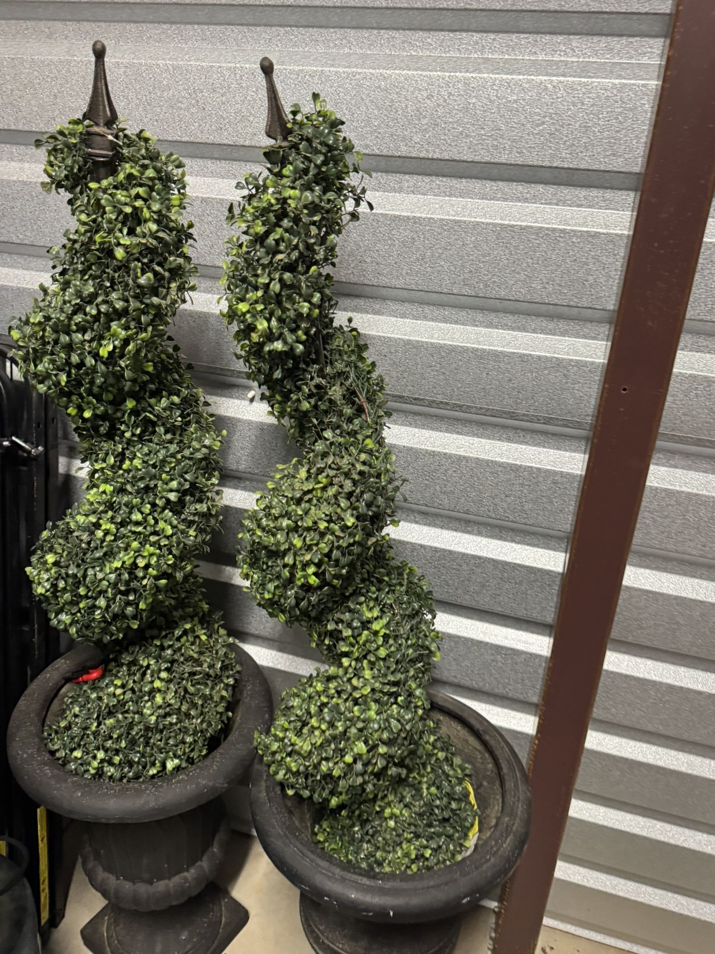 Momo Plants