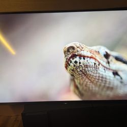 Sony 55” Class X75K LED 4K