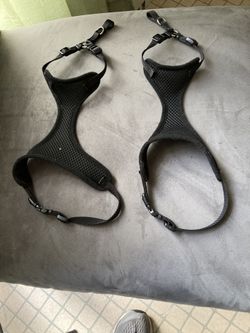 Cat Harnesses