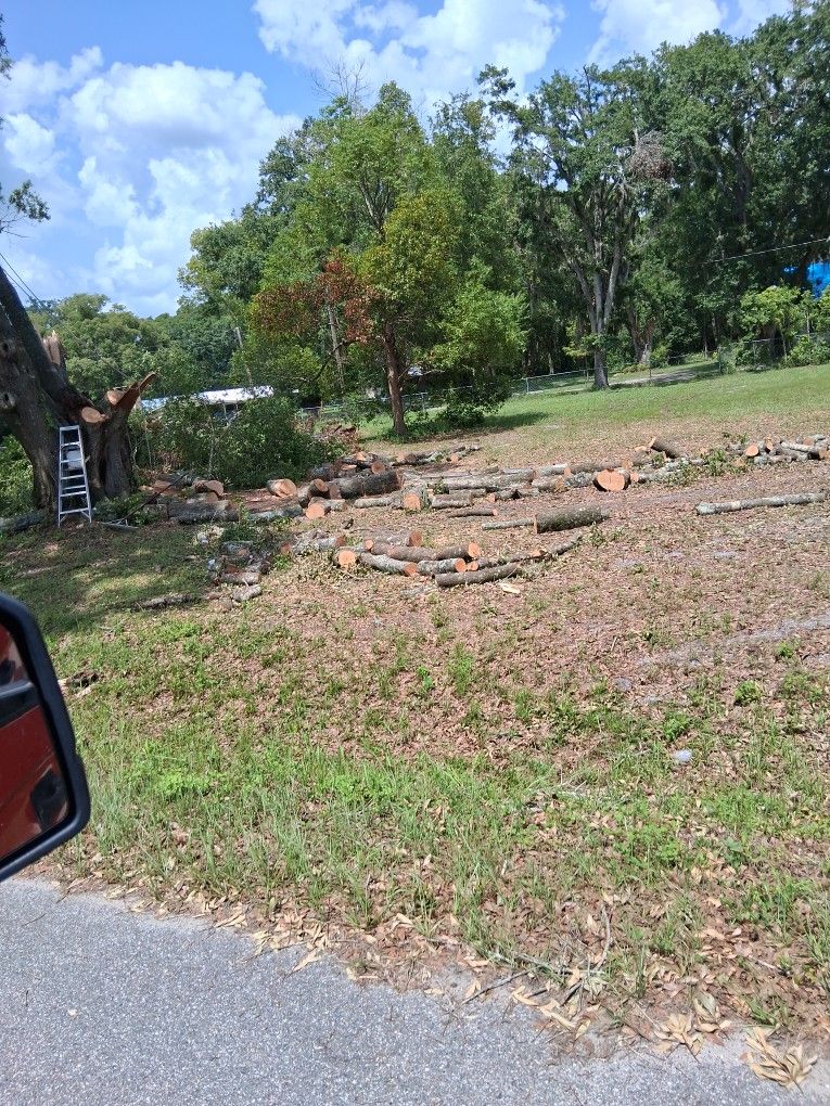Select oak firewood. Cut To Size. 