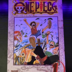 One Piece Volume 1