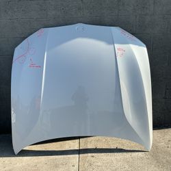 2019 - 2024 BMW 3 Series Sedan HOOD PANEL OEM