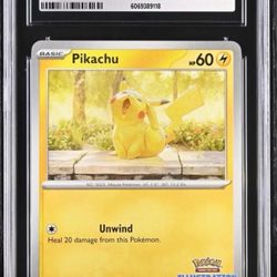 Pikachu Illustrations 2025 Winner