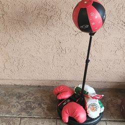 Boxing Punch Bag And Gloves 