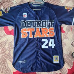 Detroit Stars Baseball Jersey 