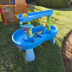 water Table with toys!