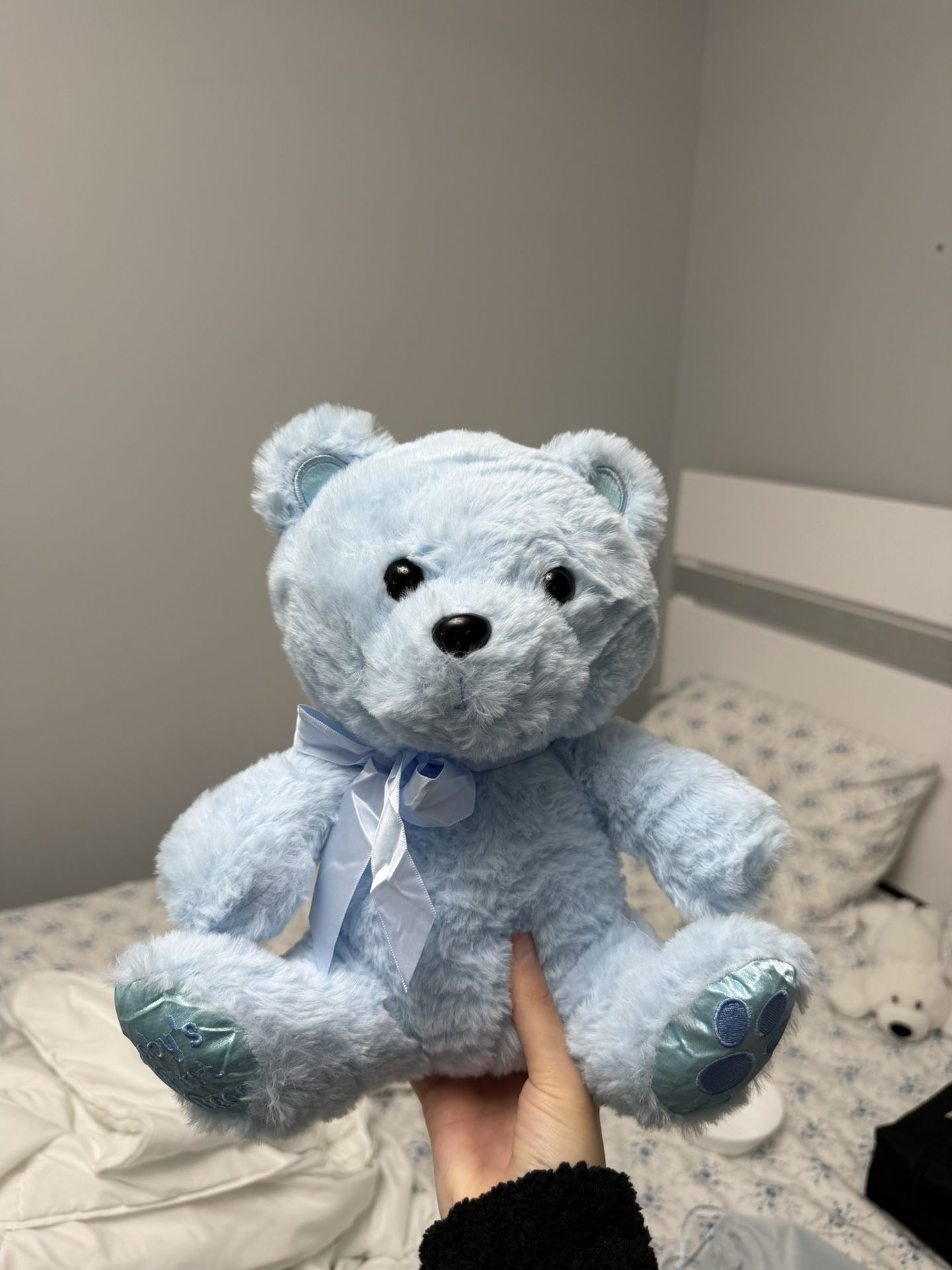 Blue Teddy Bear