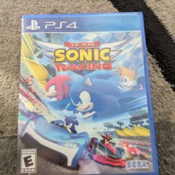Sonic PS4 Game
