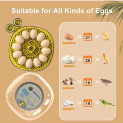 IBIKXX. Incubator. 12 Eggs 