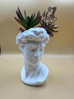 David planter with drainage for succulents