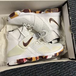 Nike LeBron 