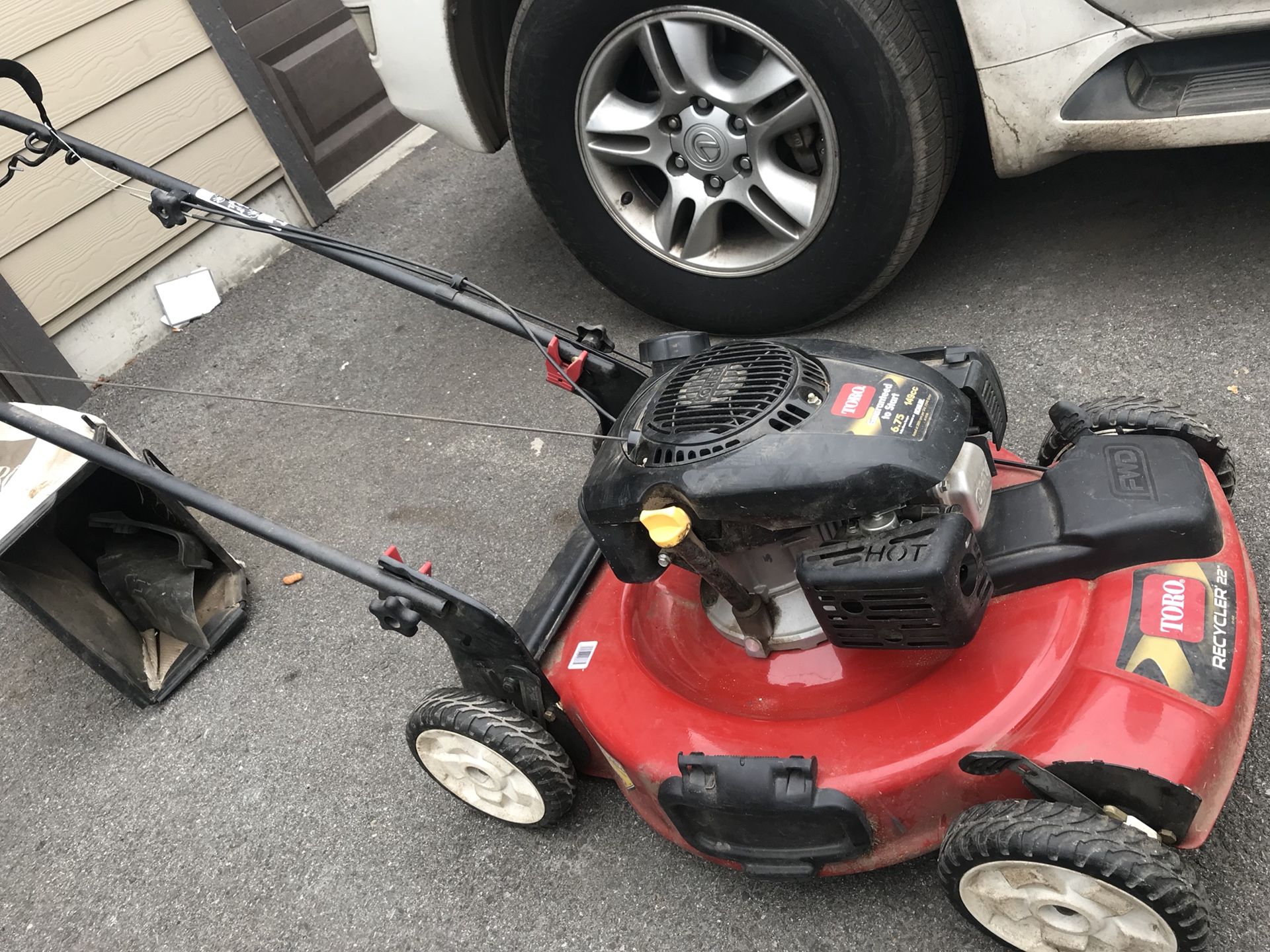 Toro