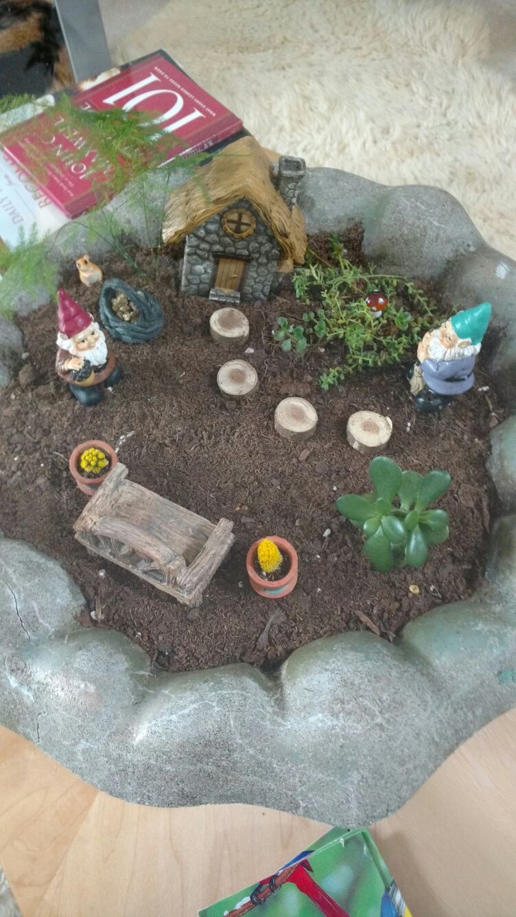 Large Gnome Fairy garden
