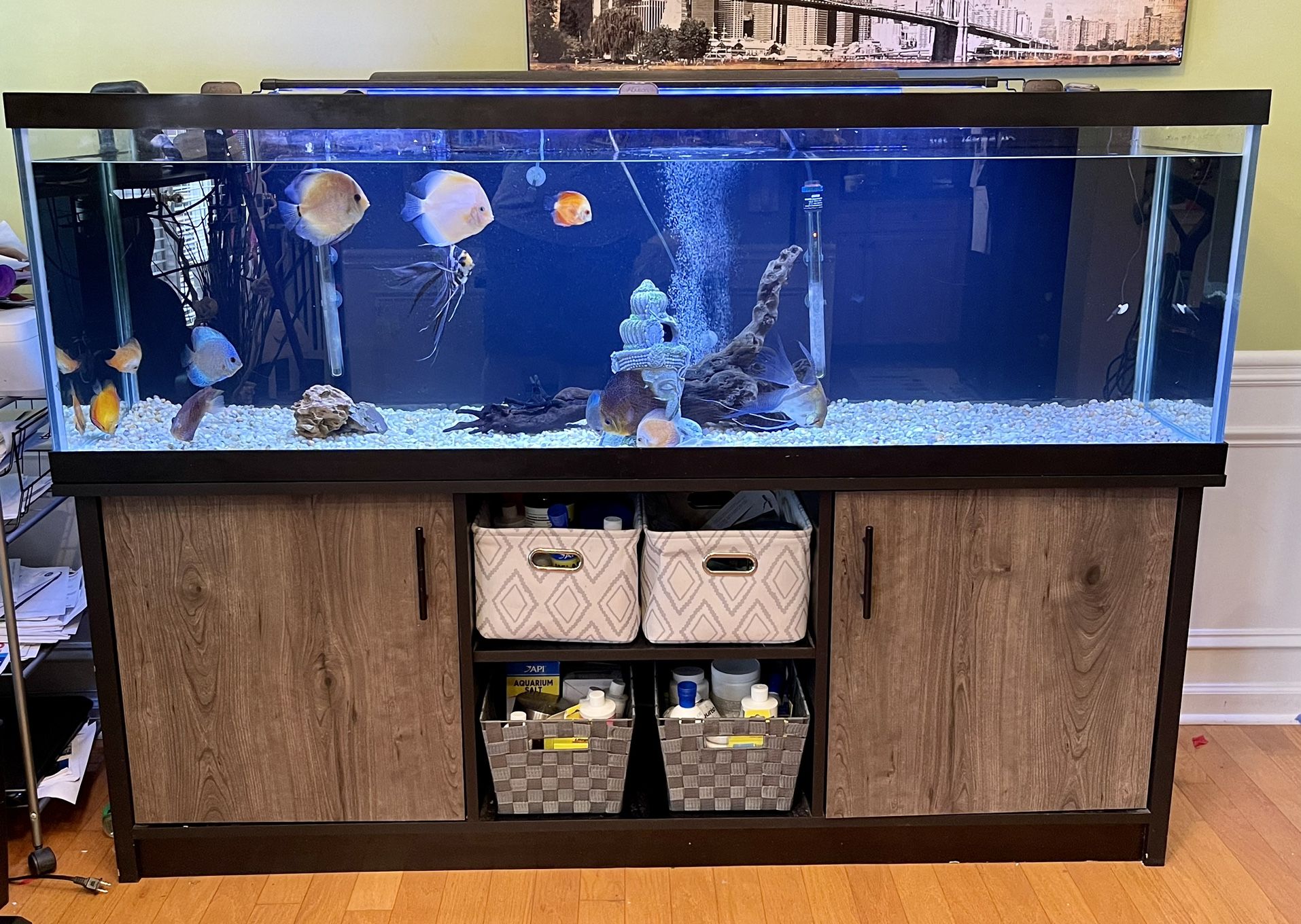 125 Gallon Aquarium Includes Everything! for Sale in Alpharetta, GA