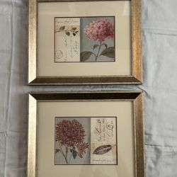 Chicago Botanic Garden Framed Prints (P79)