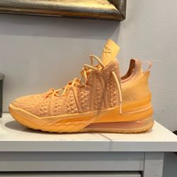 LeBron Basketball Shoes Good Condition Men’s Size 10