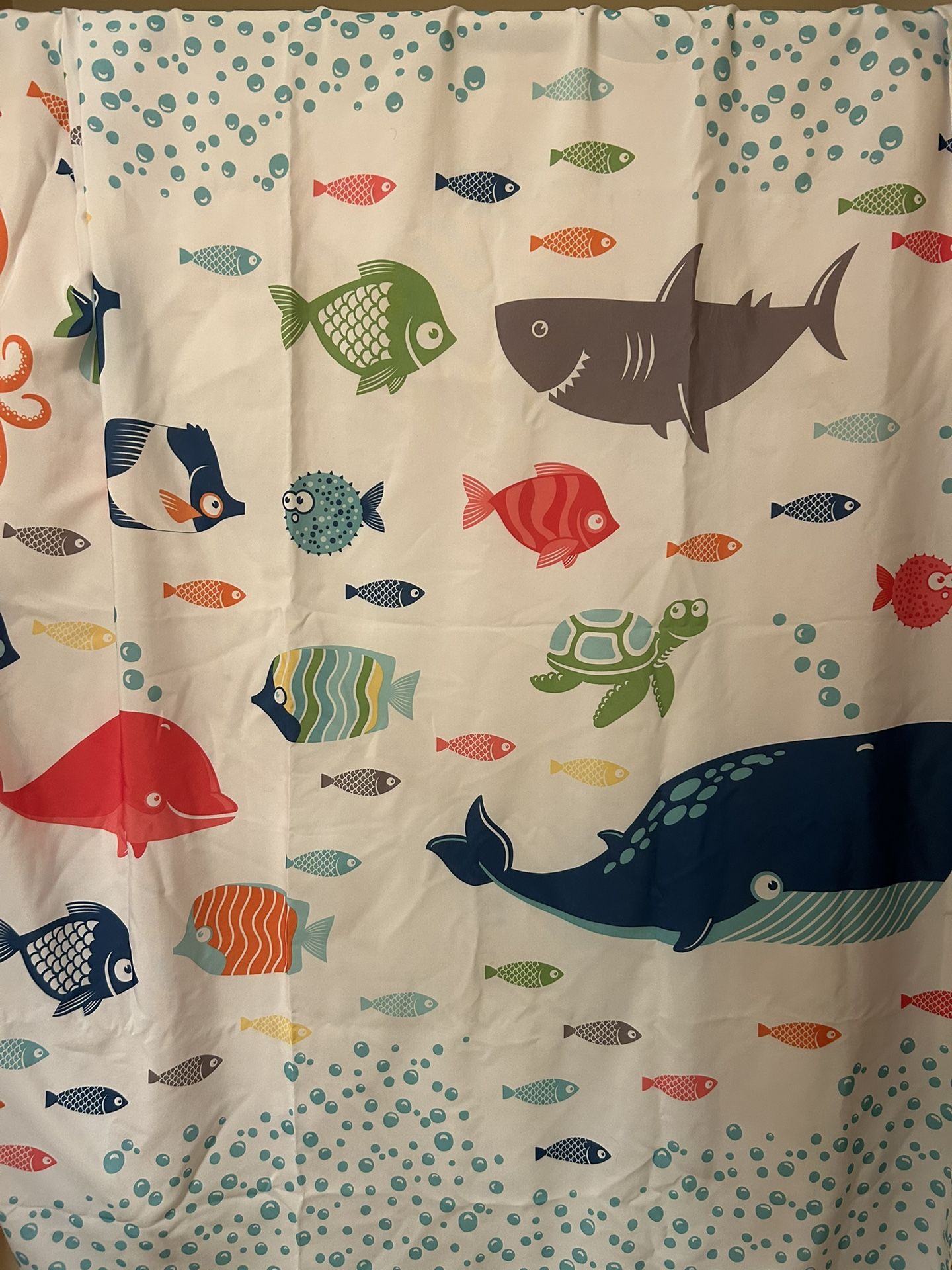 Circo Fish Bowl Shower Curtain 