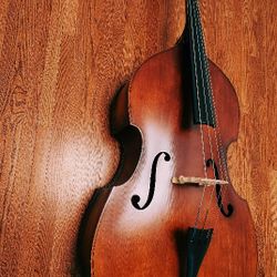 Double Bass For Sale