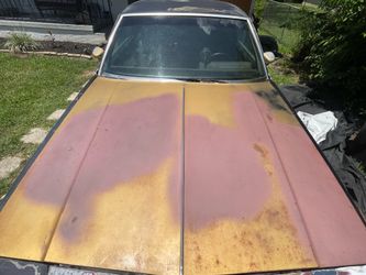 1980 cutlass hood