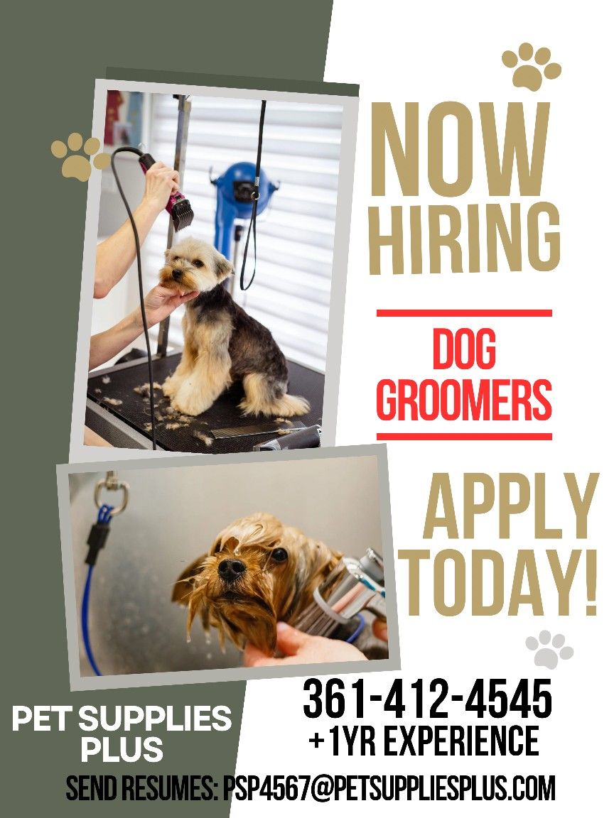 Pet Groomer Needed