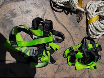 Harness