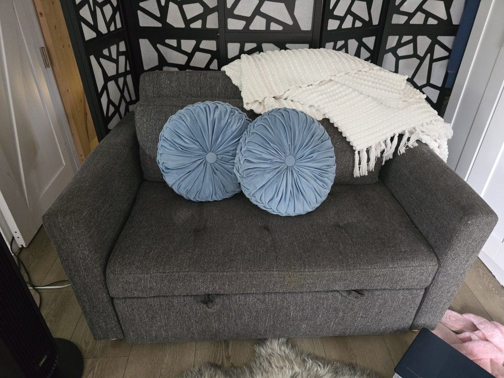 Loveseat/sofa Bed