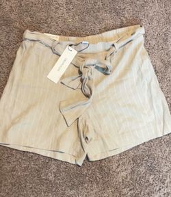 Calvin Klein Shorts   Size 8