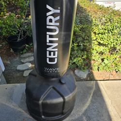 century wave master. freestanding bag