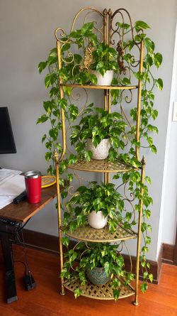 Plant stand