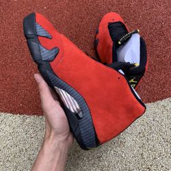 Custom Jordan 14 Z Size 10.5 for Sale in Alexandria, VA - OfferUp