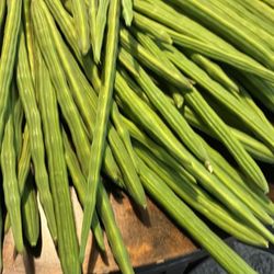 Drumsticks Organic 