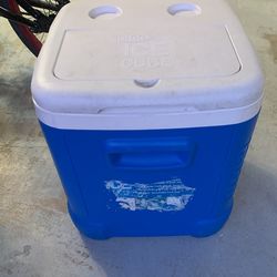 Igloo Cooler