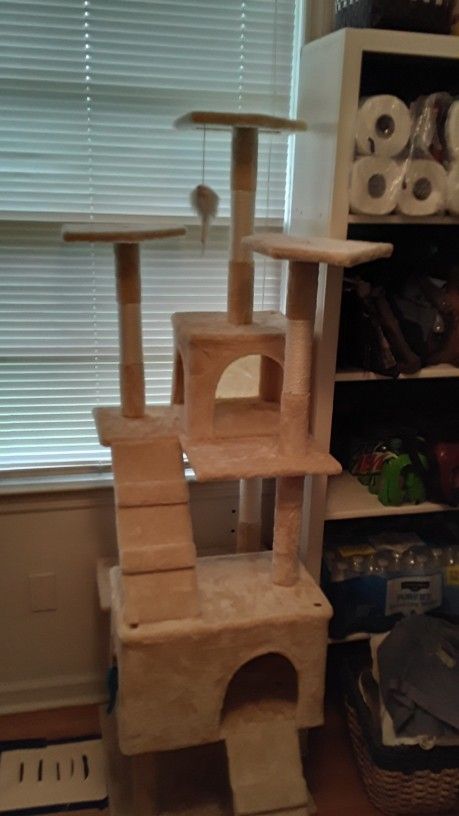 5'4"tall (64") X 23" deep X 18" Wide. Clean Unused Beige Carpet