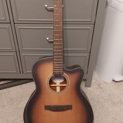 Mitchell Electroacoustic -  Make  Offer