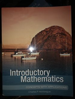 Introductory Mathematics