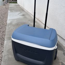 Igloo Cooler