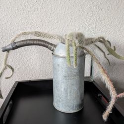 Cotton Cactus (Plant)