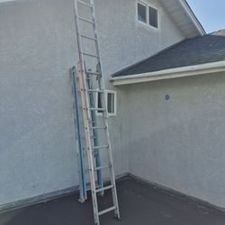 Werner Ladder 