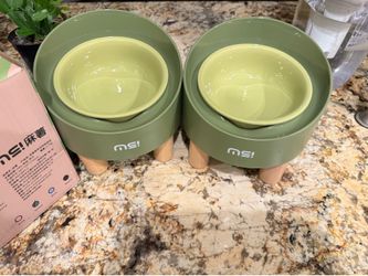 Ceramic Elevated Cat Bowls green