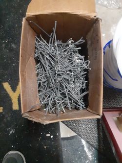 6 In Pegboard Peg Wall Pegs
