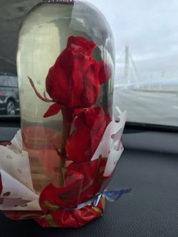 rose for mother's day