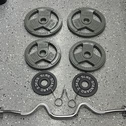 Weight Plates and curl bar set